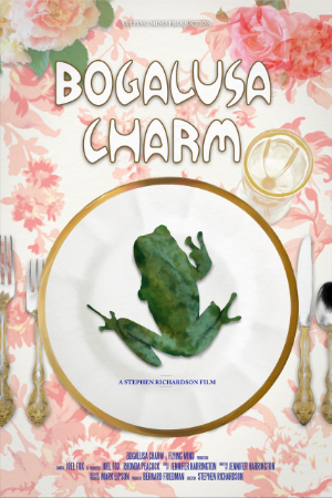 Bogalusa Charm Poster